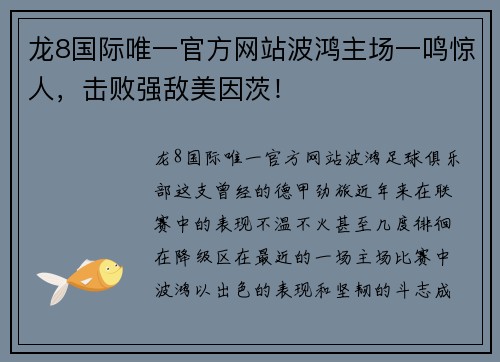 龙8国际唯一官方网站波鸿主场一鸣惊人，击败强敌美因茨！