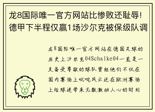 龙8国际唯一官方网站比惨败还耻辱!德甲下半程仅赢1场沙尔克被保级队调侃，04成 - 副本